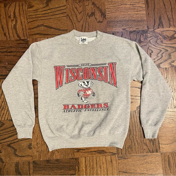 Vintage University of Wisconsin Badgers Crewneck Sweatshirt Gray M Lee Sport 90s - Picture 1 of 6
